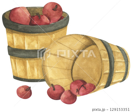 Fresh Apples in Vintage Wooden Bucket. Red Fruits, Wooden Barrel, Autumn Harvest Decor. Organic Farm and Garden. Watercolor Autumn Farmhouse Food Illustration for Thanksgiving. 129153351