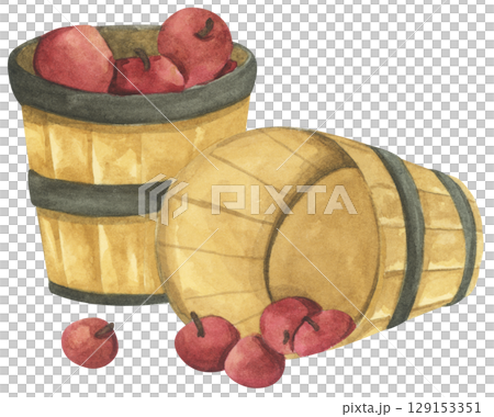 Fresh Apples in Vintage Wooden Bucket. Red Fruits, Wooden Barrel, Autumn Harvest Decor. Organic Farm and Garden. Watercolor Autumn Farmhouse Food Illustration for Thanksgiving. 129153351
