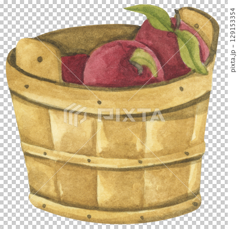 Fresh Apples in Vintage Wooden Bucket. Red Fruits, Wooden Barrel, Autumn Harvest Decor. Organic Farm and Garden. Watercolor Autumn Farmhouse Food Illustration for Thanksgiving. 129153354