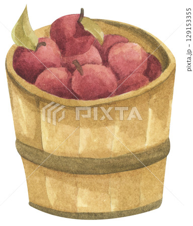 Fresh Apples in Vintage Wooden Bucket. Red Fruits, Wooden Barrel, Autumn Harvest Decor. Organic Farm and Garden. Watercolor Autumn Farmhouse Food Illustration for Thanksgiving. Fresh Apples in Vintage Wooden Bucket. Red Fruits, Wooden Barrel, Autumn Harvest Decor. Organic Farm and Garden. Watercolor Autumn Farmhouse Food Illustration for Thanksgiving. 129153355