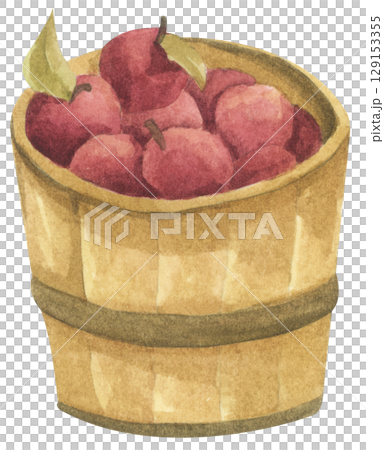 Fresh Apples in Vintage Wooden Bucket. Red Fruits, Wooden Barrel, Autumn Harvest Decor. Organic Farm and Garden. Watercolor Autumn Farmhouse Food Illustration for Thanksgiving. 129153355