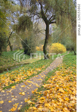 autumn park 129153802