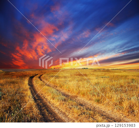 morning in meadow morning in meadow 129153983