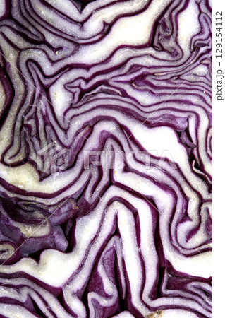 Close up of a sliced red cabbage pattern abstract background Close up of a sliced red cabbage pattern abstract background 129154112