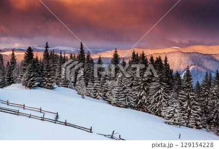 winter winter 129154228