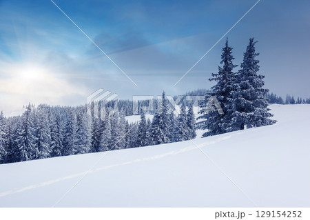 winter 129154252