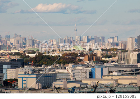 横浜から見えるスカイツリー 横浜から見えるスカイツリー 129155085