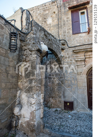 Cat in the old town of Rhodes , Greece 129155139