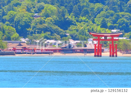 【広島県】日本三景安芸の宮島の大鳥居と厳島神社 【広島県】日本三景安芸の宮島の大鳥居と厳島神社 129156132