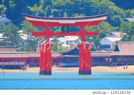 【広島県】日本三景安芸の宮島の大鳥居と厳島神社 129156136