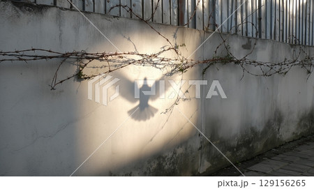 Shadow of a bird cast on a concrete wall surrounded by barbed wire 129156265