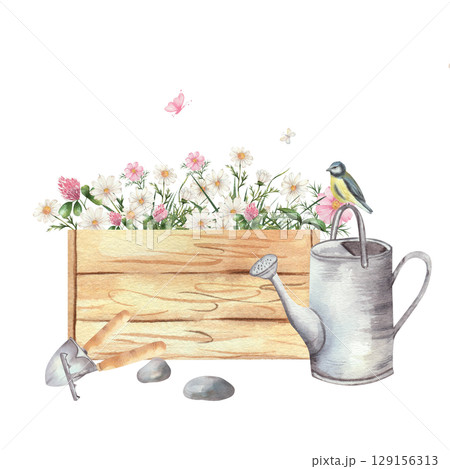 Watercolor illustration of wooden box filled with wildflowers, daisies and clover. Nearby are watering can, garden tools, stones, butterflies and small bird. White background, rustic gardening theme 129156313