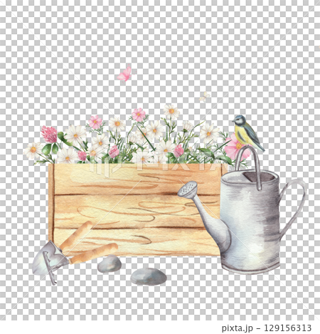 Watercolor illustration of wooden box filled with wildflowers, daisies and clover. Nearby are watering can, garden tools, stones, butterflies and small bird. White background, rustic gardening theme 129156313