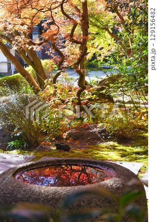 鎌倉 覚園寺の美しい紅葉（神奈川県鎌倉市） 129156482