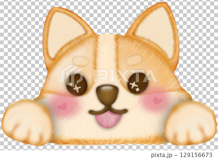 Kawaii playful Corgi and Shiba Inu dogs in various poses. Hand drawn colored  illustration set. 129156673