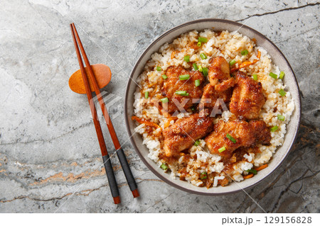 Rice with Chicken Tori-meshi a local dish from Okayama Prefecture closeup in the bowl. Horizontal top view Rice with Chicken Tori-meshi a local dish from Okayama Prefecture closeup in the bowl. Horizontal top view 129156828