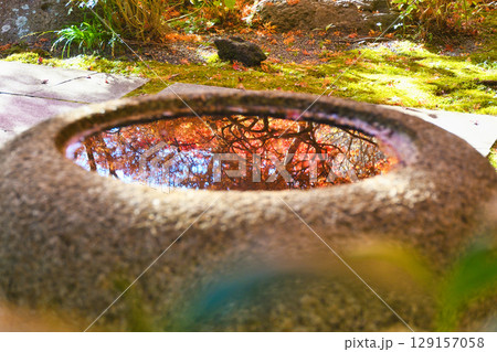 鎌倉 覚園寺の美しい紅葉(神奈川県鎌倉市) 鎌倉 覚園寺の美しい紅葉(神奈川県鎌倉市) 129157058