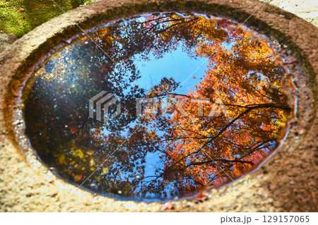 鎌倉 覚園寺の美しい紅葉(神奈川県鎌倉市) 鎌倉 覚園寺の美しい紅葉(神奈川県鎌倉市) 129157065