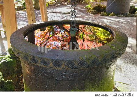 鎌倉 覚園寺の美しい紅葉(神奈川県鎌倉市) 鎌倉 覚園寺の美しい紅葉(神奈川県鎌倉市) 129157398