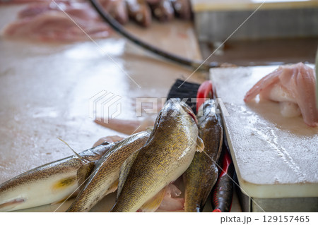 Freshly caught fish being prepared on a countertop in a seafood market during daylight hours 129157465