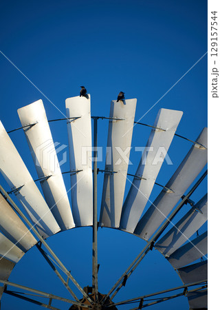 windmill used for regulationof water flow in agriculture as water pump windmill used for regulationof water flow in agriculture as water pump 129157544