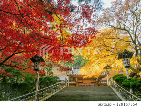 紅葉が美しい秋の大雄山最乗寺の瑠璃門を見上げる階段からの風景 紅葉が美しい秋の大雄山最乗寺の瑠璃門を見上げる階段からの風景 129157554