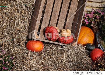 pumpkin rural decoration idea 129157657