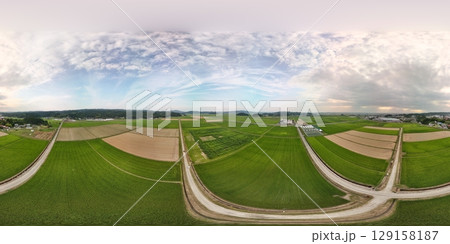 とうもろこし畑の迷路 空撮 VR写真 とうもろこし畑の迷路 空撮 VR写真 129158187