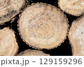 Pile of wood logs, closeup of clean cut of chopped firewood logs. Natural wooden background 129159296
