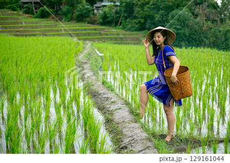 Woman in traditional hat and blue dress carrying woven basket stepping through lush green rice field Woman in traditional hat and blue dress carrying woven basket stepping through lush green rice field 129161044