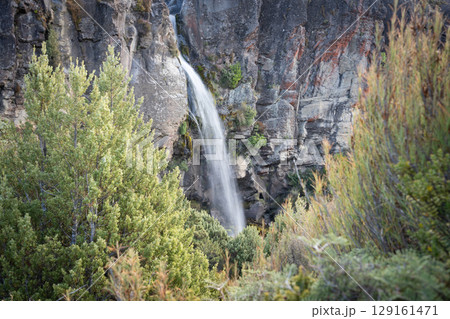 Waterfall streaming from rocky wall framed by foliage, New Zealand Waterfall streaming from rocky wall framed by foliage, New Zealand 129161471