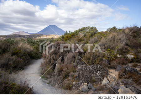 Trail leading through harsh volcanic landscape with volcano in backdrop , New Zealand Trail leading through harsh volcanic landscape with volcano in backdrop , New Zealand 129161476