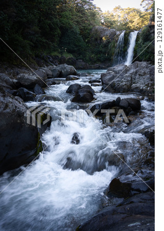 Vertical shot of beautiful cascade waterfall in a dense forest, New Zealand 129161477