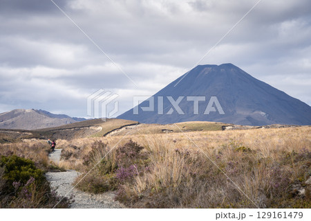 Tourists on a trail moving through landscape towards big volcano, New Zealand 129161479