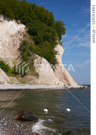 chalk coast of Rugen 129161661