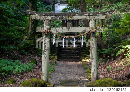 山の中にある鳥居、山の神社、神奈川県真鶴町 129162181