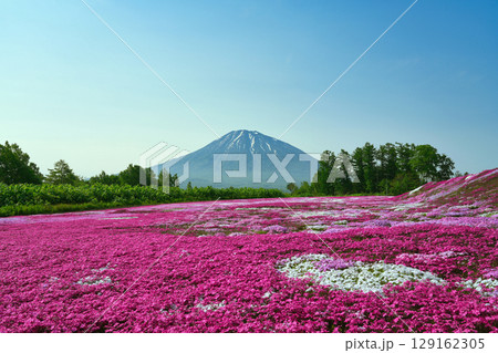 芝桜と羊蹄山の見える風景 芝桜と羊蹄山の見える風景 129162305