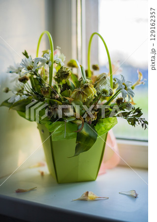 Wilted dried bouquet on the windowsill Wilted dried bouquet on the windowsill 129162357