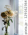 Faded white flowers on the window 129162364