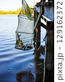 Person holds up a net full of fish, freshly caught from the calm, blue water near a wooden dock 129162372