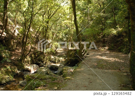 苔生す小川沿いの散歩道 苔生す小川沿いの散歩道 129163482