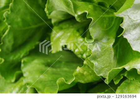 Fresh green ramen salad, lettuce leaves closeup, macro. Background with natural texture and color Fresh green ramen salad, lettuce leaves closeup, macro. Background with natural texture and color 129163694