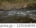 苔むす岩と静かな流れ 129164699