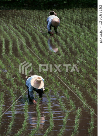 Field with green view. open space, outdoor. High quality photo Field with green view. open space, outdoor. High quality photo 129165162