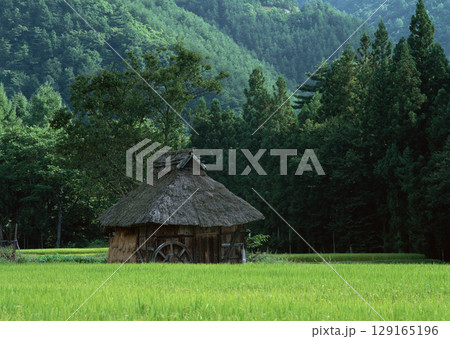 Traditional Japanese Rural Landscape. High quality photo 129165196