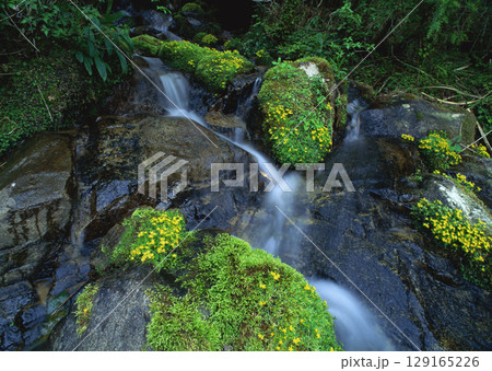 Dictionary of Materials Vol.122 Four Seasons, Scenery of Japan. High quality photo Dictionary of Materials Vol.122 Four Seasons, Scenery of Japan. High quality photo 129165226
