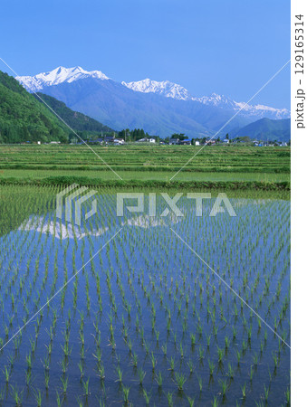 Field with green view. open space, outdoor. High quality photo 129165314
