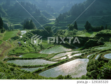 Field with green view. open space, outdoor. High quality photo Field with green view. open space, outdoor. High quality photo 129165320