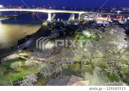 舘鼻公園から観る八戸大橋と夜桜(青森県八戸市) 舘鼻公園から観る八戸大橋と夜桜(青森県八戸市) 129165515