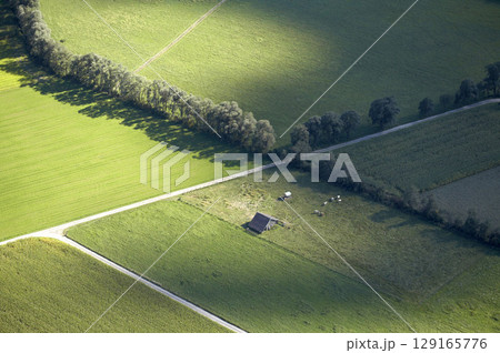 Fields, Drautal, Carinthia, Austria 129165776